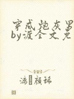 穿成炮灰男妻后by渡全文免费封面