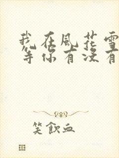 我在风花雪月里等你有没有续集