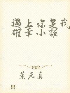 遇上你是我的小确幸小说