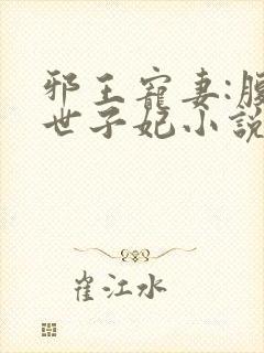 邪王宠妻:腹黑世子妃小说封面