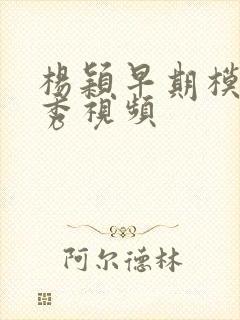 杨颖早期模特走秀视频