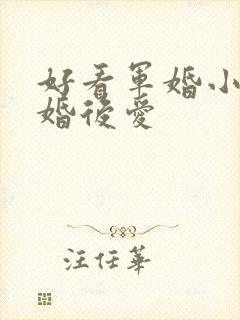 好看军婚小说先婚后爱封面