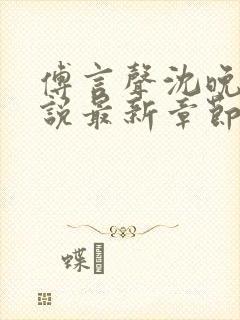 傅言声沈晚柔小说最新章节免费阅读