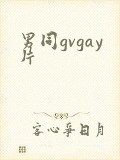 男同gvgay片
