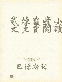 武炼巅峰小说全文免费阅读无弹窗