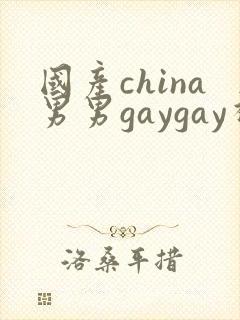 国产china男男gaygay视频封面