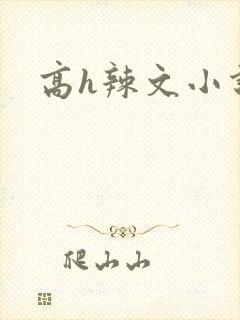 高h辣文小说网
