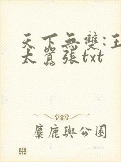天下无双:王妃太嚣张txt