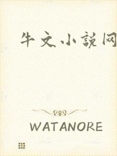 牛文小说网封面