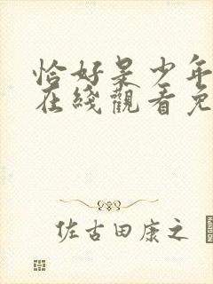 恰好是少年综艺在线观看免费封面