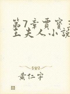 第7章贾宝玉上王夫人小说