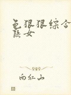 色狠狠综合av熟女