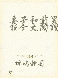 妻子和前男友小说全文阅读