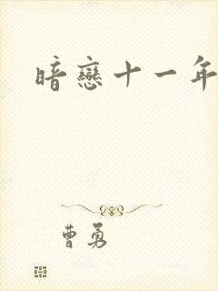 暗恋十一年小说