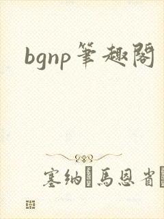 bgnp笔趣阁