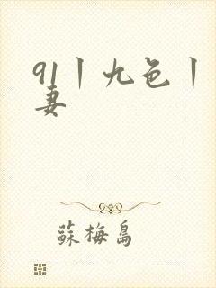 91丨九色丨人妻