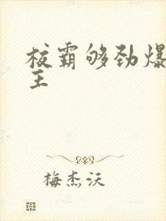 校霸够劲爆双男主