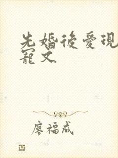 先婚后爱现言甜宠文