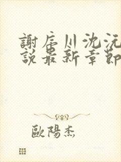 谢序川沈沅珠小说最新章节免费阅读