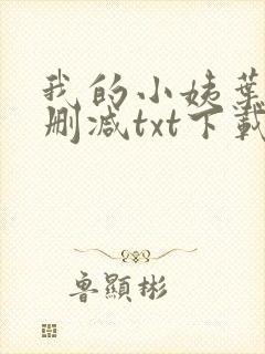 我的小姨叶凡无删减txt下载