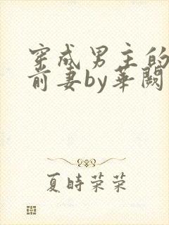 穿成男主的炮灰前妻by华阙阙txt封面