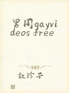 男同gayvideos free封面