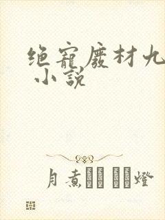 绝宠废材九小姐 小说