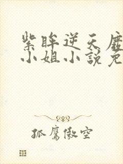 紫眸逆天废柴大小姐小说免费阅