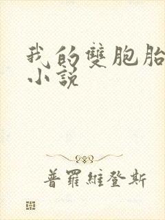 我的双胞胎女儿小说