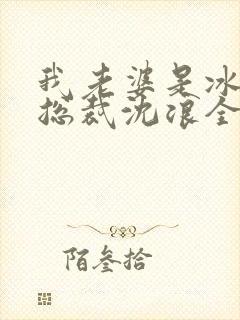 我老婆是冰山女总裁沈浪全集