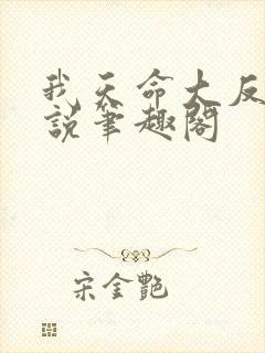 我天命大反派小说笔趣阁封面