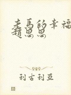 老马的幸福生活赵思思