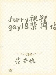 furry裸体gay18禁网站封面
