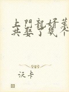 上门龙婿叶辰一共娶了几个