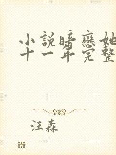 小说暗恋她的第十一年完整版封面