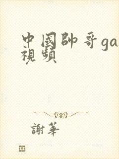 中国帅哥gay视频