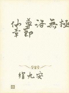 仙尊洛无极最新章节