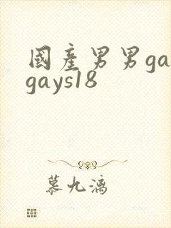 国产男男gaygays18