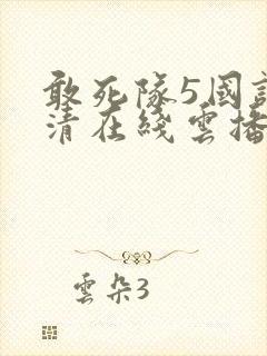 敢死队5国语高清在线云播放