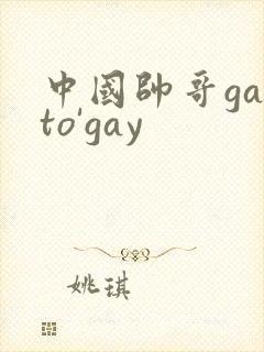 中国帅哥gayto'gay