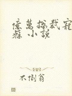 亿万总裁宠妻成瘾 小说