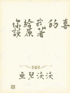 你给我的喜欢小说原著
