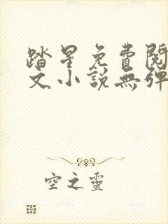 踏星免费阅读全文小说无弹窗