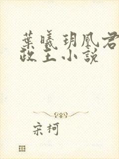 叶曦玥凰君夜摄政王小说封面