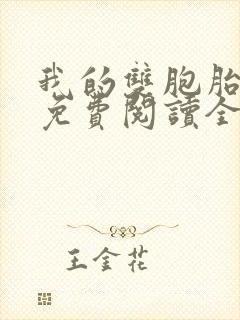 我的双胞胎老婆免费阅读全文封面