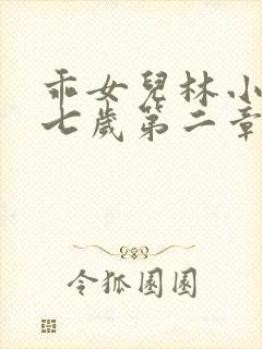 乖女儿林小喜十七岁第二章免费阅读