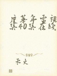 度华年电视剧全集40集在线