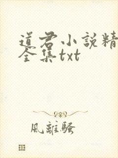 道君小说精校版全集txt