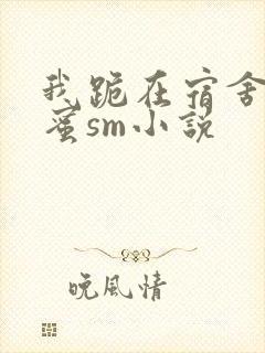 我跪在宿舍被闺蜜sm小说