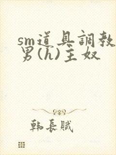 sm道具调教男男(h)主奴